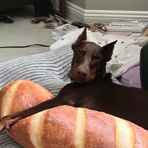 Meet your Posher, Laurel &